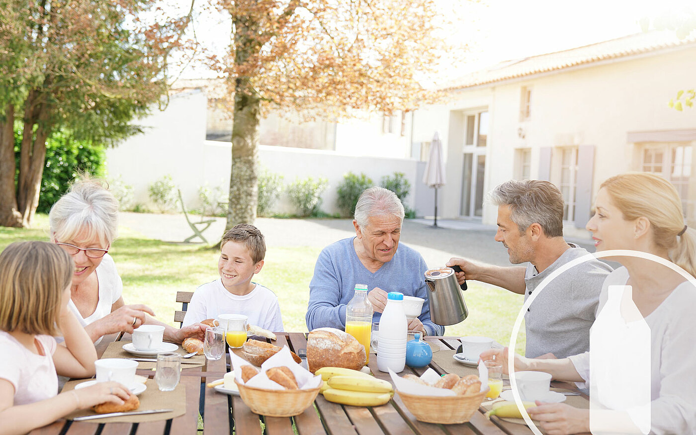 D-alpha Tocopheryl Acid Succinate