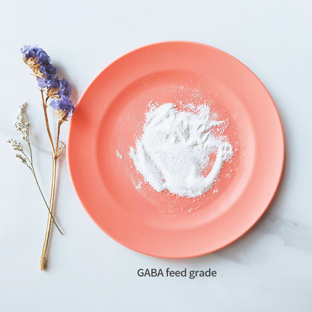 Gamma Aminobutyric Acid(GABA) 2 Gamma Aminobutyric Acid(GABA)