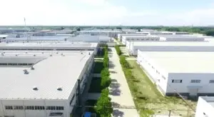 Beta-Carotene 4 factory plant