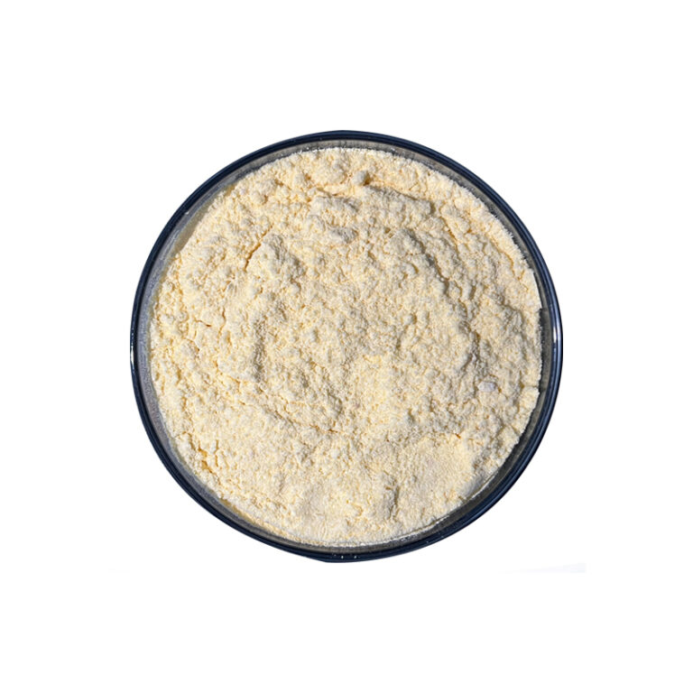 lecithin powder