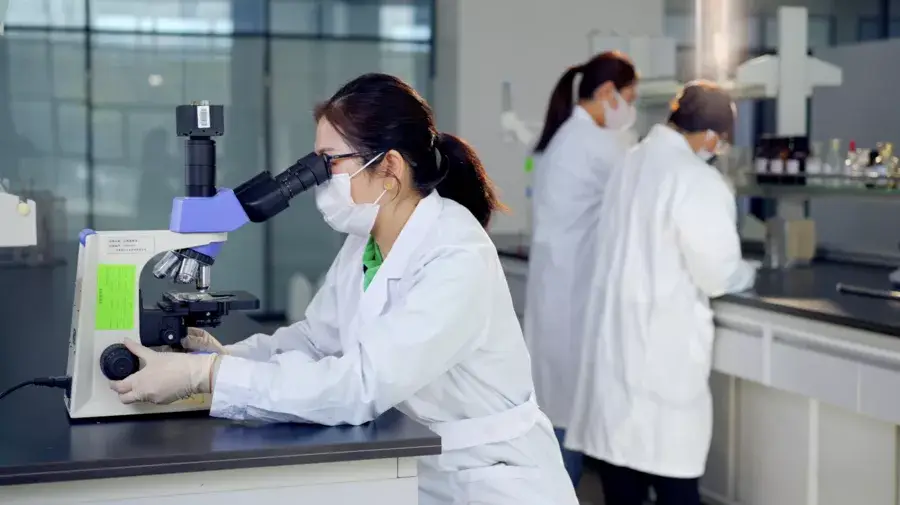 Powder Lecithin for emulsifier in food or cosmetics 3 test