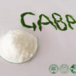 GABA (γ-Aminobutyric Acid)