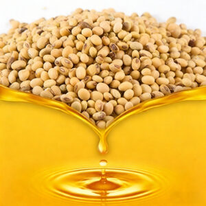 Home 20 Soybean Fatty Acid Price Surge: Drivers and Ripple Effects on Natural Vitamin E Market