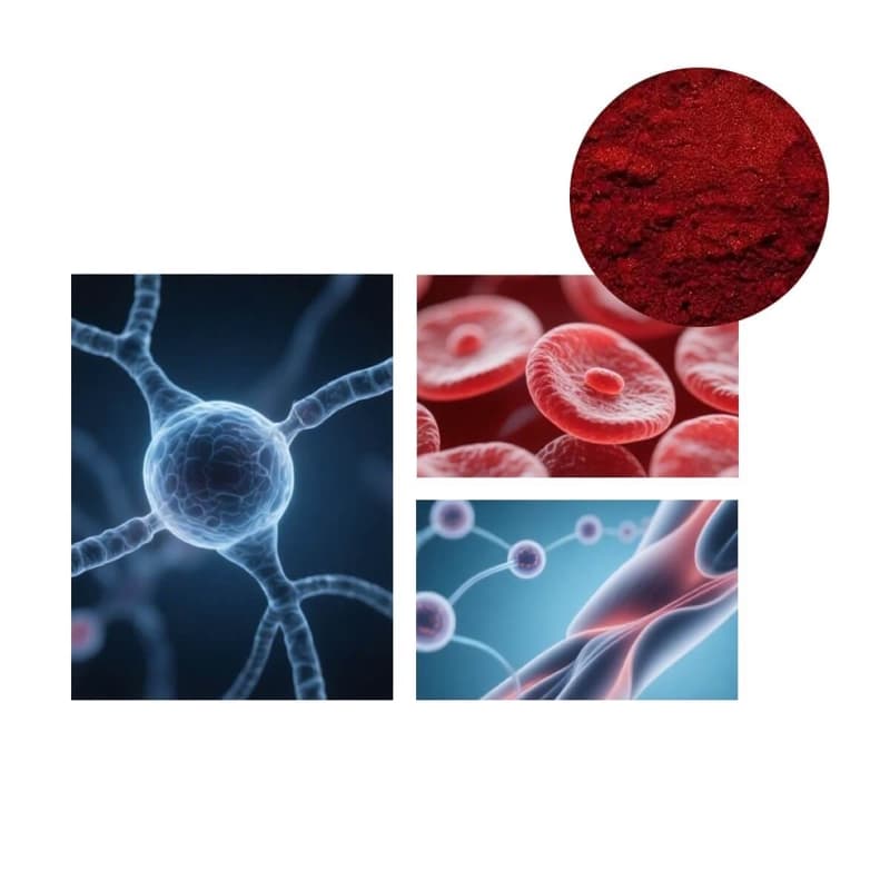 Methylcobalamin(Vitamin B12) 2 vitamin b12 methylcobalamin powder benefits infographic