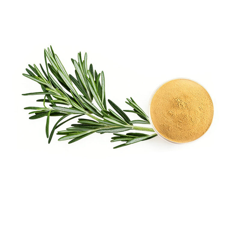 Rosemary extract