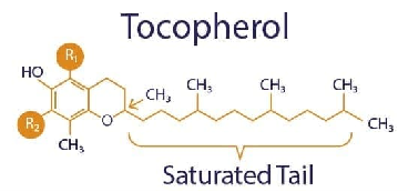 tocopherol