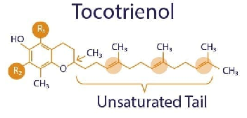 tocotrienol
